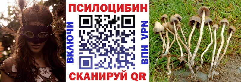 Галлюциногенные грибы Magic Shrooms  где продают   Тулун 