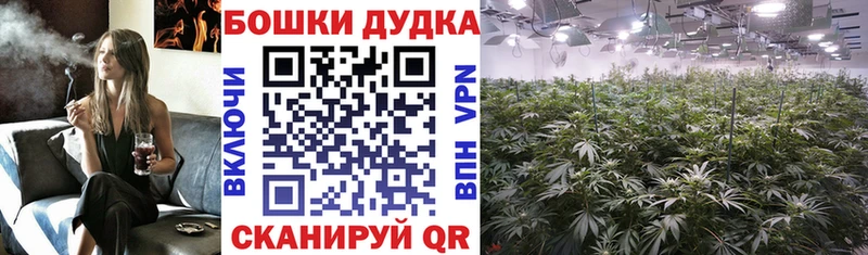 магазин продажи наркотиков  кракен онион  МАРИХУАНА конопля  Тулун 